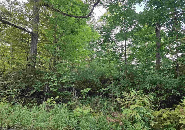 Photo 3 of Land for sale at V/L Oak Ln, Hale, MI 48739 | MLS# 80055731 | Listing updated on 2026-09-03