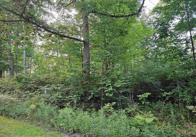 Photo 4 of Land for sale at V/L Oak Ln, Hale, MI 48739 | MLS# 80055731 | Listing updated on 2026-09-03