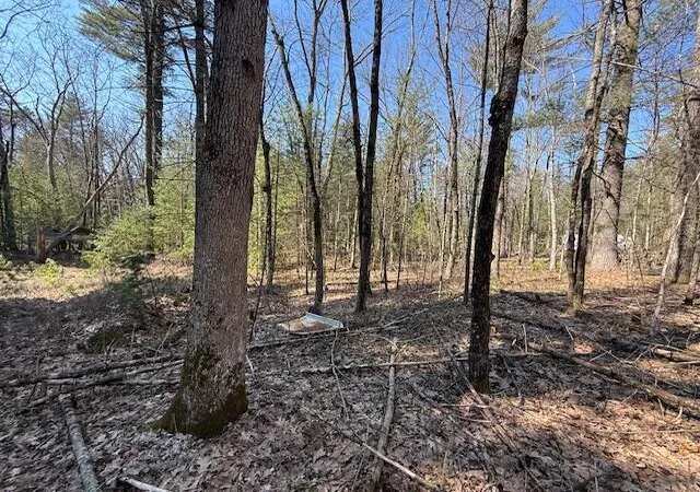 Photo 1 of Land for sale at Vl S Pershing Rd, Baldwin, MI 49304 | MLS# 70524205 | Listing updated on 2026-09-11