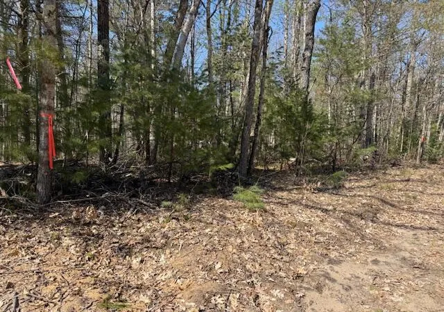 Photo 1 of Land for sale at Vl S Pershing Rd, Baldwin, MI 49304 | MLS# 70524205 | Listing updated on 2026-09-11