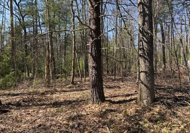 Photo 2 of Land for sale at Vl S Pershing Rd, Baldwin, MI 49304 | MLS# 70524205 | Listing updated on 2026-09-11