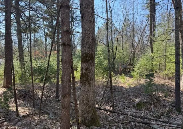 Photo 3 of Land for sale at Vl S Pershing Rd, Baldwin, MI 49304 | MLS# 70524205 | Listing updated on 2026-09-11