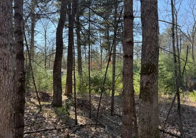 Photo 4 of Land for sale at Vl S Pershing Rd, Baldwin, MI 49304 | MLS# 70524205 | Listing updated on 2026-09-11