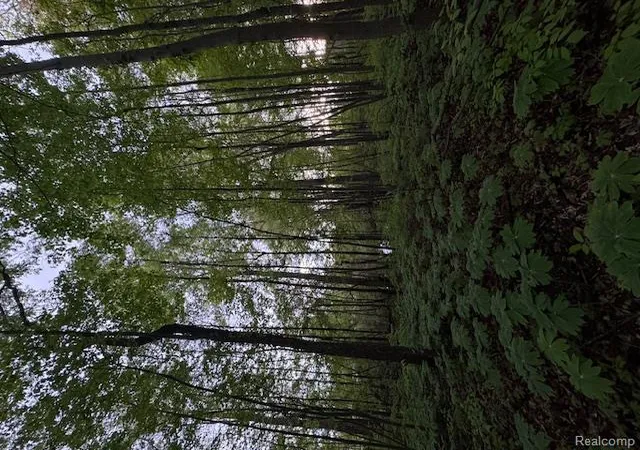 Photo 3 of Land for sale at Vl Lot D Trl Chevron, Highland, MI 48356 | MLS# 61036550 | Listing updated on 2026-10-06