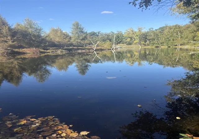 Photo 1 of Land for sale at 9025 Boggie Dr, Canadian Lakes, MI 49346 | MLS# 70561360 | Listing updated on 2026-09-29