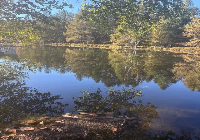 Photo 3 of Land for sale at 9025 Boggie Dr, Canadian Lakes, MI 49346 | MLS# 70561360 | Listing updated on 2026-09-29