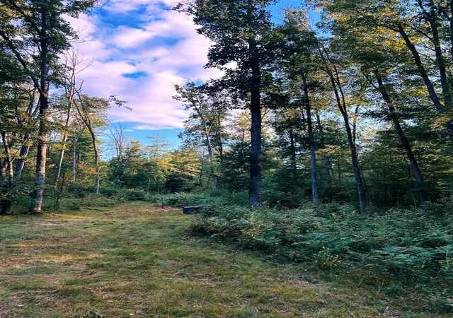 Photo 3 of Sale Pending at V/l Newcosta Ave, Howard City, MI 49329 | MLS# 70547883 | Listing updated on 2026-09-03