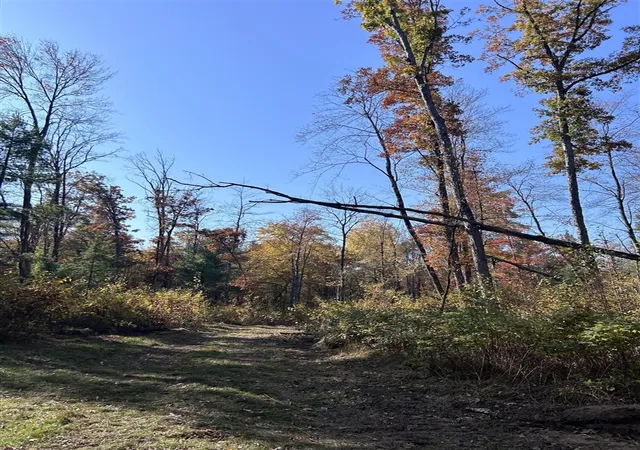 Photo 4 of Sale Pending at V/l Newcosta Ave, Howard City, MI 49329 | MLS# 70547883 | Listing updated on 2026-09-03