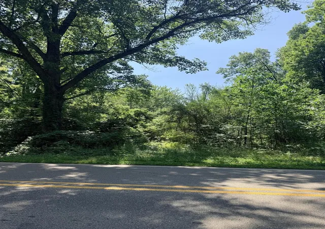 Photo 3 of Sale Pending at V/l Mccain Rd, Parma, MI 49269 | MLS# 70549874 | Listing updated on 2026-09-01