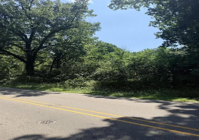 Photo 3 of Sale Pending at V/l Mccain Rd, Parma, MI 49269 | MLS# 70549874 | Listing updated on 2026-09-01