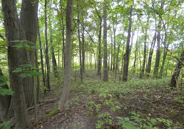 Photo 1 of Land for sale at 530 Rembert Ct, Benton Harbor, MI 49022 | MLS# 70560725 | Listing updated on 2026-09-24
