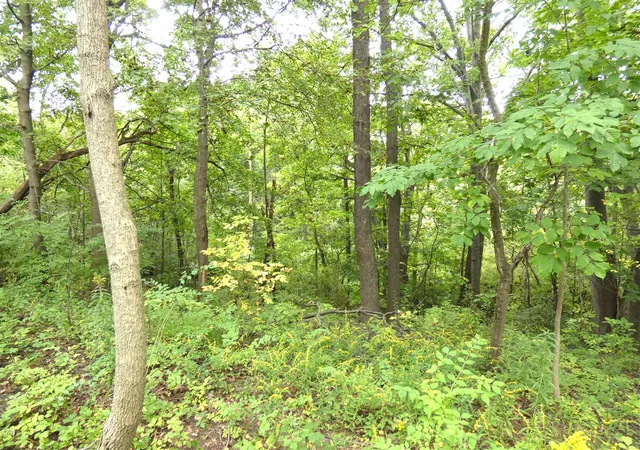 Photo 2 of Land for sale at 530 Rembert Ct, Benton Harbor, MI 49022 | MLS# 70560725 | Listing updated on 2026-09-24