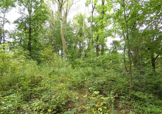 Photo 3 of Land for sale at 530 Rembert Ct, Benton Harbor, MI 49022 | MLS# 70560725 | Listing updated on 2026-09-24