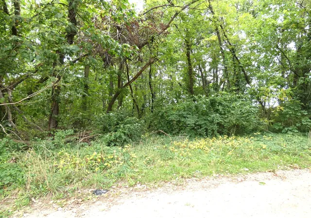 Photo 6 of Land for sale at 530 Rembert Ct, Benton Harbor, MI 49022 | MLS# 70560725 | Listing updated on 2026-09-24