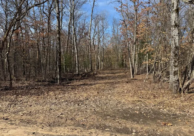 Photo 1 of Sale Pending at Mary St, Wellston, MI 49689 | MLS# 70533591 | Listing updated on 2026-09-21