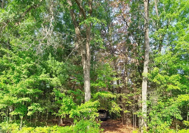 Photo 1 of Land for sale at 2679 S State, Chase, MI 49623 | MLS# 70553038 | Listing updated on 2026-10-12