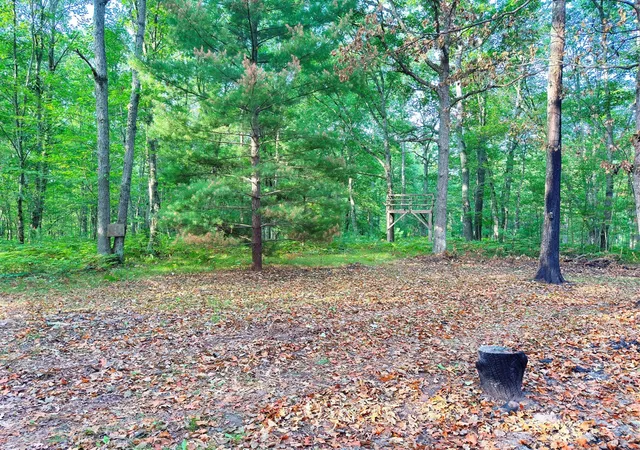 Photo 2 of Land for sale at 2679 S State, Chase, MI 49623 | MLS# 70553038 | Listing updated on 2026-10-12