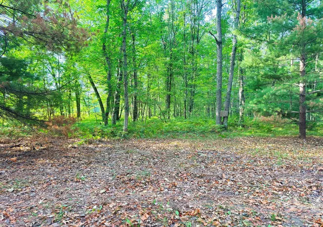 Photo 3 of Land for sale at 2679 S State, Chase, MI 49623 | MLS# 70553038 | Listing updated on 2026-10-12