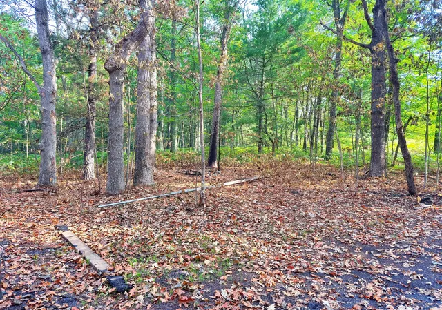 Photo 3 of Land for sale at 2679 S State, Chase, MI 49623 | MLS# 70553038 | Listing updated on 2026-10-12