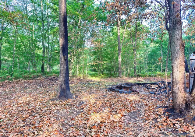 Photo 4 of Land for sale at 2679 S State, Chase, MI 49623 | MLS# 70553038 | Listing updated on 2026-10-12
