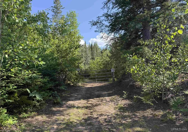 Photo 2 of Land for sale at 742 Beaver View Dr, Germfask, MI 49836 | MLS# 50221268 | Listing updated on 2026-09-09
