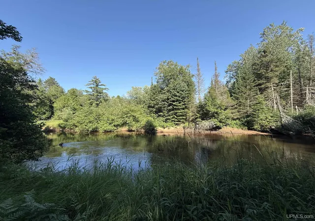 Photo 3 of Land for sale at 742 Beaver View Dr, Germfask, MI 49836 | MLS# 50221268 | Listing updated on 2026-09-09