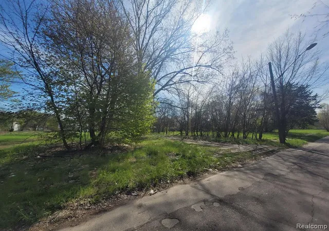 Photo 3 of Land for sale at 3432 Beals St, Detroit, MI 48214 1708 | MLS# 60307471 | Listing updated on 2026-09-04