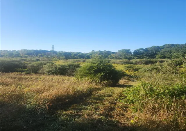 Photo 1 of Land for sale at V/l Wise Rd, Sheridan, MI 48884 | MLS# 70558078 | Listing updated on 2026-09-11