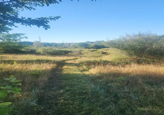Photo 2 of Land for sale at V/l Wise Rd, Sheridan, MI 48884 | MLS# 70558078 | Listing updated on 2026-09-11