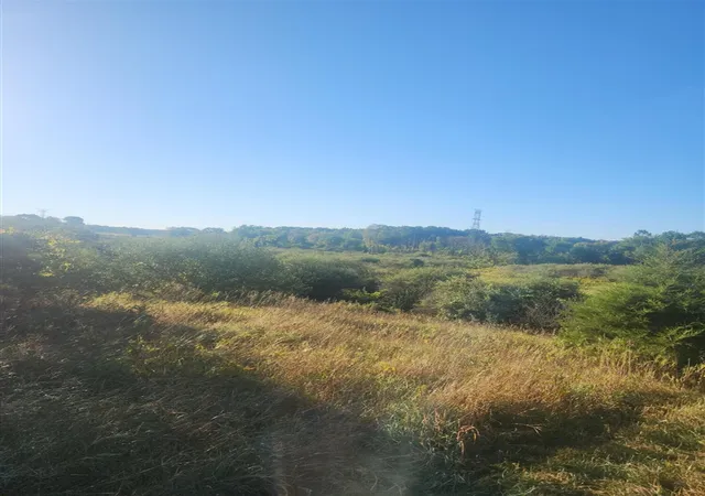 Photo 3 of Land for sale at V/l Wise Rd, Sheridan, MI 48884 | MLS# 70558078 | Listing updated on 2026-09-11