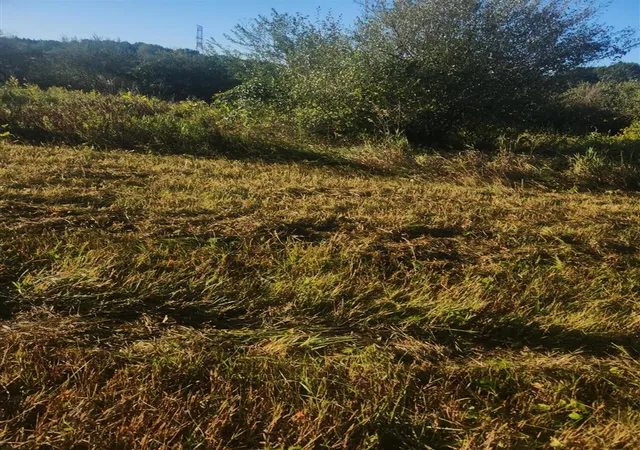 Photo 3 of Land for sale at V/l Wise Rd, Sheridan, MI 48884 | MLS# 70558078 | Listing updated on 2026-09-11
