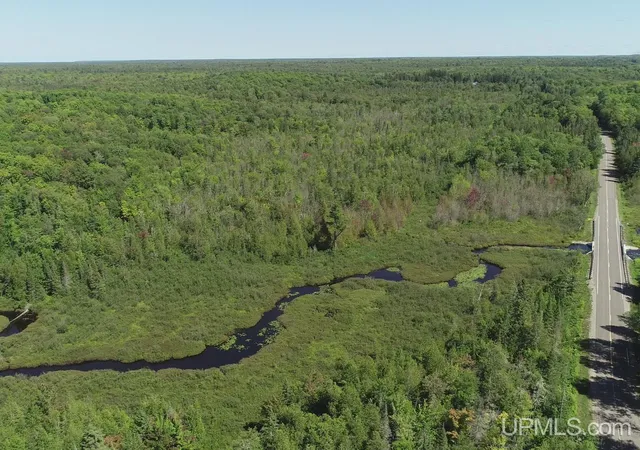Photo 1 of Land for sale at 40 Acres Little Lake Rd, Gwinn, MI 49841 | MLS# 50200518 | Listing updated on 2026-09-01