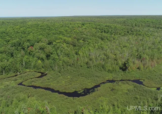 Photo 3 of Land for sale at 40 Acres Little Lake Rd, Gwinn, MI 49841 | MLS# 50200518 | Listing updated on 2026-09-01