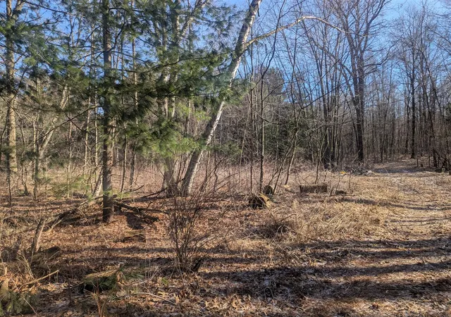 Photo 1 of Land for sale at 00 E East, Montrose, MI 48457 | MLS# 70557093 | Listing updated on 2026-09-07
