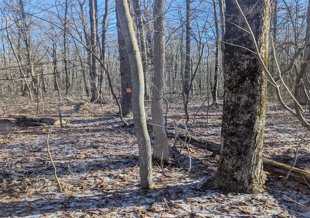 Photo 2 of Land for sale at 00 E East, Montrose, MI 48457 | MLS# 70557093 | Listing updated on 2026-09-07