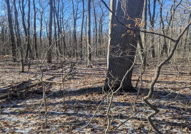 Photo 3 of Land for sale at 00 E East, Montrose, MI 48457 | MLS# 70557093 | Listing updated on 2026-09-07