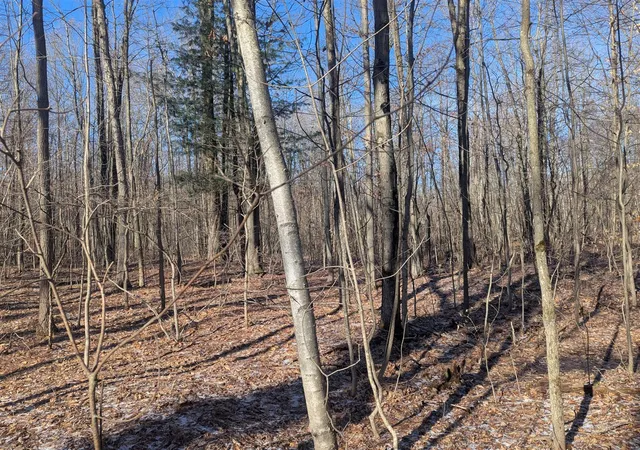 Photo 3 of Land for sale at 00 E East, Montrose, MI 48457 | MLS# 70557093 | Listing updated on 2026-09-07
