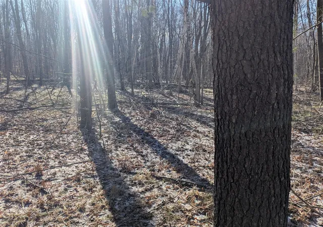 Photo 4 of Land for sale at 00 E East, Montrose, MI 48457 | MLS# 70557093 | Listing updated on 2026-09-07