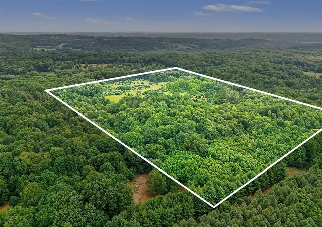 Land for sale at 52 W Johnson Rd, Hart, MI 49420 | MLS# 70542753