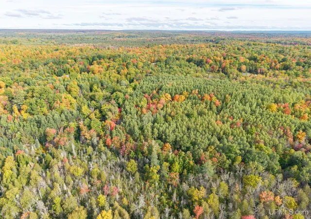 Photo 3 of Sale Pending at Tbd Co Rd Cn, Ishpeming, MI 49849 | MLS# 50223230 | Listing updated on 2026-10-16