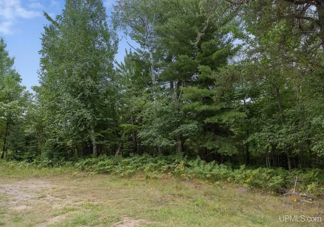 Photo 2 of Land for sale at Lot 3 S Basin Dr, Negaunee, MI 49866 | MLS# 50220470 | Listing updated on 2026-09-02