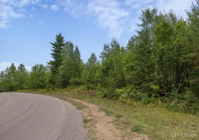 Photo 3 of Land for sale at Lot 3 S Basin Dr, Negaunee, MI 49866 | MLS# 50220470 | Listing updated on 2026-09-02