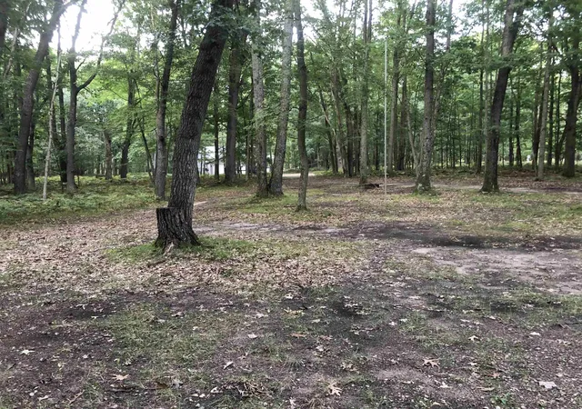 Photo 4 of Sale Pending at 4722 Teaberry Ln, Farwell, MI 48622 | MLS# 50220652 | Listing updated on 2026-09-18