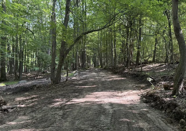 Photo 2 of Land for sale at 00 Lasher Rd, Dryden, MI 48428 | MLS# 70546859 | Listing updated on 2026-10-12
