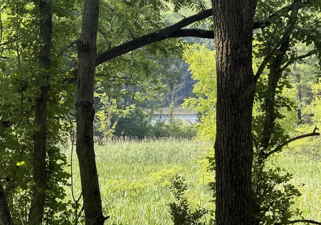 Photo 3 of Land for sale at 00 Lasher Rd, Dryden, MI 48428 | MLS# 70546859 | Listing updated on 2026-10-12