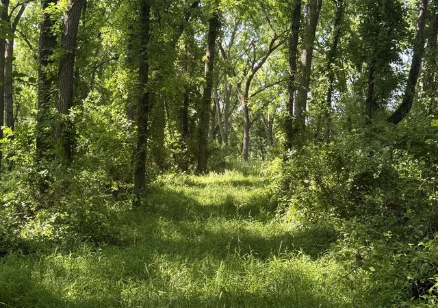 Photo 4 of Land for sale at 00 Lasher Rd, Dryden, MI 48428 | MLS# 70546859 | Listing updated on 2026-10-12