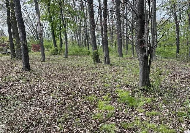 Photo 4 of Land for sale at 820 E Indiana St, New Buffalo, MI 49117 | MLS# 70531452 | Listing updated on 2026-09-01