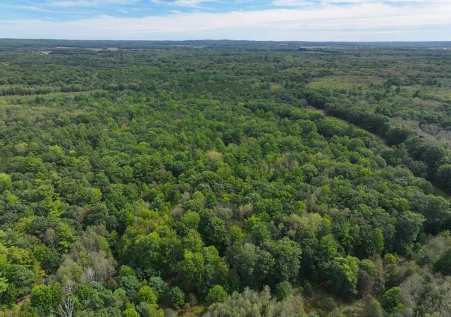 Photo 3 of Sale Pending at V/l W 55a Jefferson Rd, Hart, MI 49420 | MLS# 70560672 | Listing updated on 2026-09-28