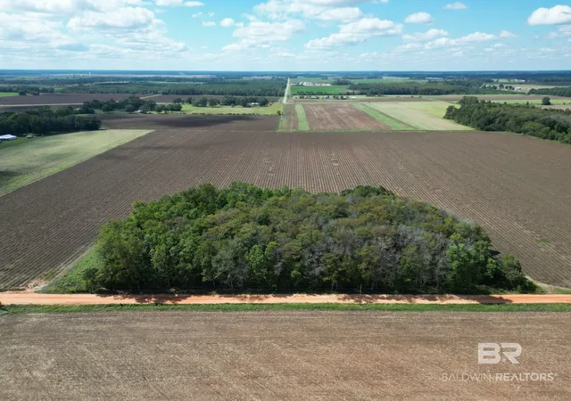 Photo 2 of Land for sale at 00 Dorriety Cir, Atmore, AL 36502 | MLS# 411750 | Listing updated on 2026-10-07