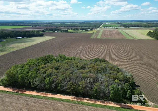 Photo 3 of Land for sale at 00 Dorriety Cir, Atmore, AL 36502 | MLS# 411750 | Listing updated on 2026-10-07
